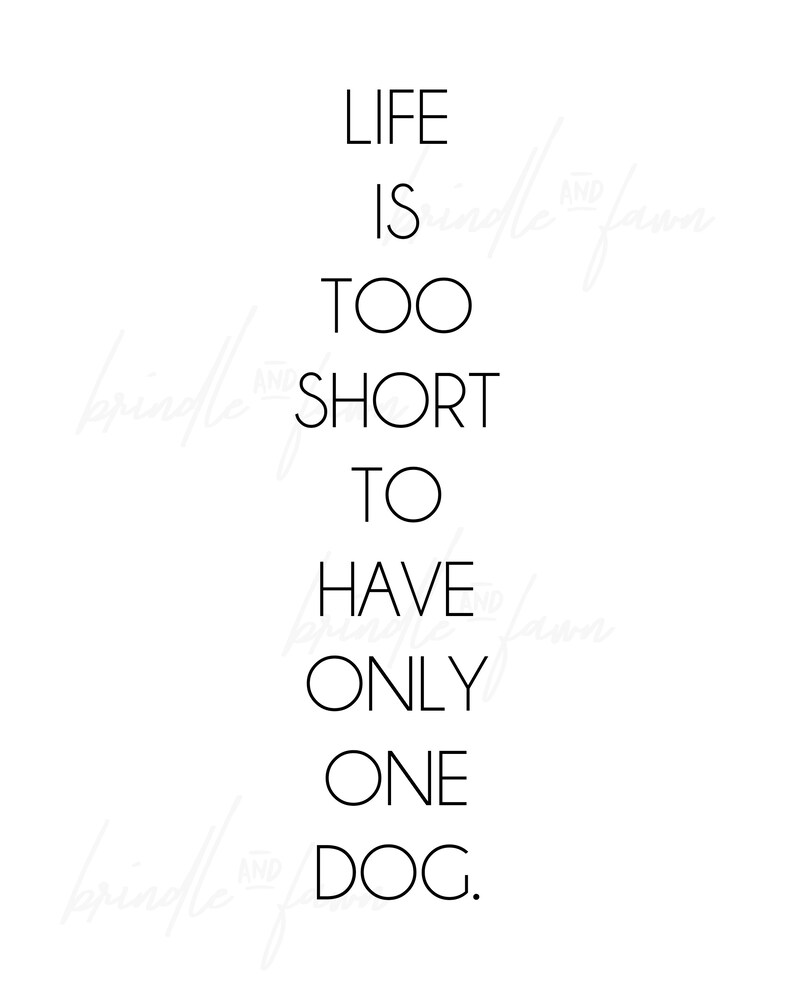 Life is Too Short to Have Only One Dog 8x10 Digital Download Pet Animal