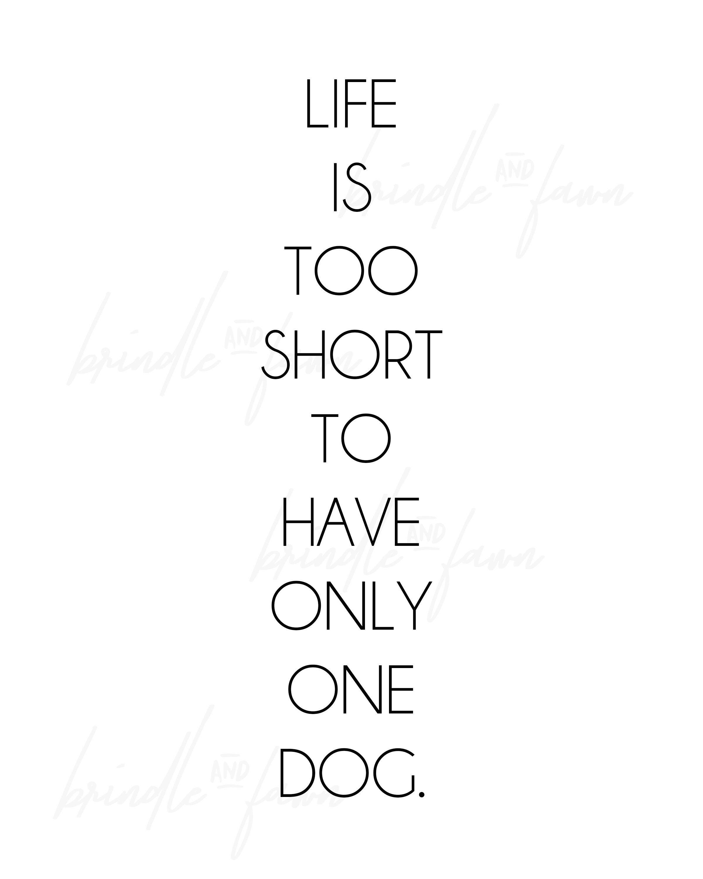 Life is Too Short to Have Only One Dog 8x10 Digital Download Pet Animal Dog Cat Quote, Print