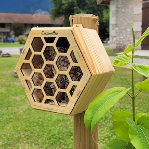 Hôtel à insectes pour Coccinelles