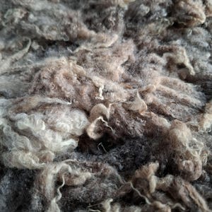 200g gewaschene Shetland-Wolle, Rohwolle, roh-weiße Wolle, roh-schwarze Wolle, roh-braune Wolle, gewaschenes Vlies, Schafwolle, Wolle zum Spinnen