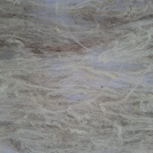 Puede incluir: Primer plano de una masa de fibras de lana sin teñir. Las fibras son una mezcla de gris claro, blanquecino y beige, con un aspecto suave y texturizado. La lana parece sin procesar, con un aspecto natural y orgánico.