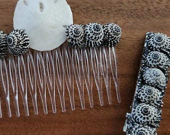 sand dollar, heliacus shells, hair comb, hair clip, beach, coastal, ocean, gift set
