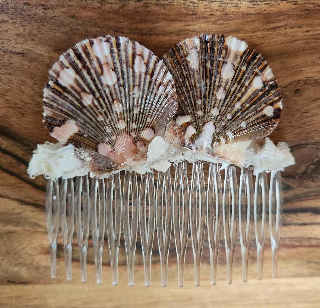 Deadly Comb Shell Hair Comb, Shells, Coastal, Beach, Gift, Hair Accessory - Etsy