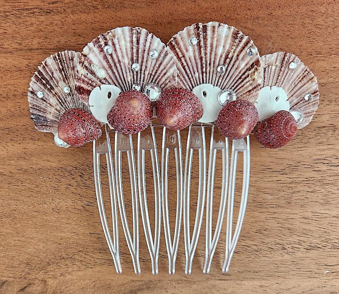 Seashell Comb Seashell Hair Comb, Speckled Scallops, Sand Dollars & Rhinestones - Etsy