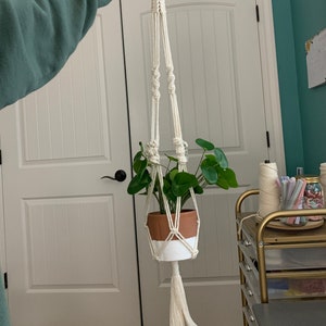 May include: A white macrame plant hanger with a wooden ring at the top. A green potted plant is hanging in the macrame hanger. The plant is in a white and brown pot.
