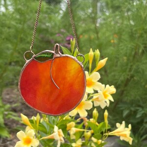 Peach window hanging
