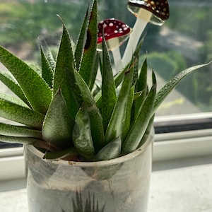 Fused glass plant stakes