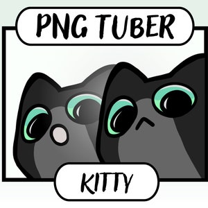 Cat PNGtuber | Cute Vtuber Model | Chibi | Kitty | Twitch | Youtube | Stream PNG Tuber Ready To Use