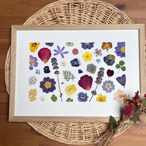 Framed herbarium, nature, flowers, herbarium, dried flowers, herbarium, herbarium frame, plant frame, handmade, decoration, home decor