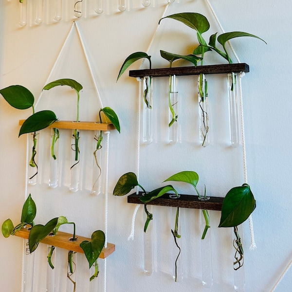 Plant Propagation Wall Display l Botany Test Tube Vials for Propagating Plants l Vase Holder l Propagate Plant Cuts I Pothos Cuts