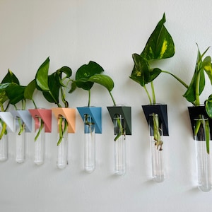 Może przedstawiać: Osiem szklanych probówek z roślinami w środku jest zamontowanych na białej ścianie. Probówki są utrzymywane w miejscu przez trójkątne uchwyty pomalowane na różne kolory, w tym biały, szary, różowy, pomarańczowy, niebieski, zielony i czarny.