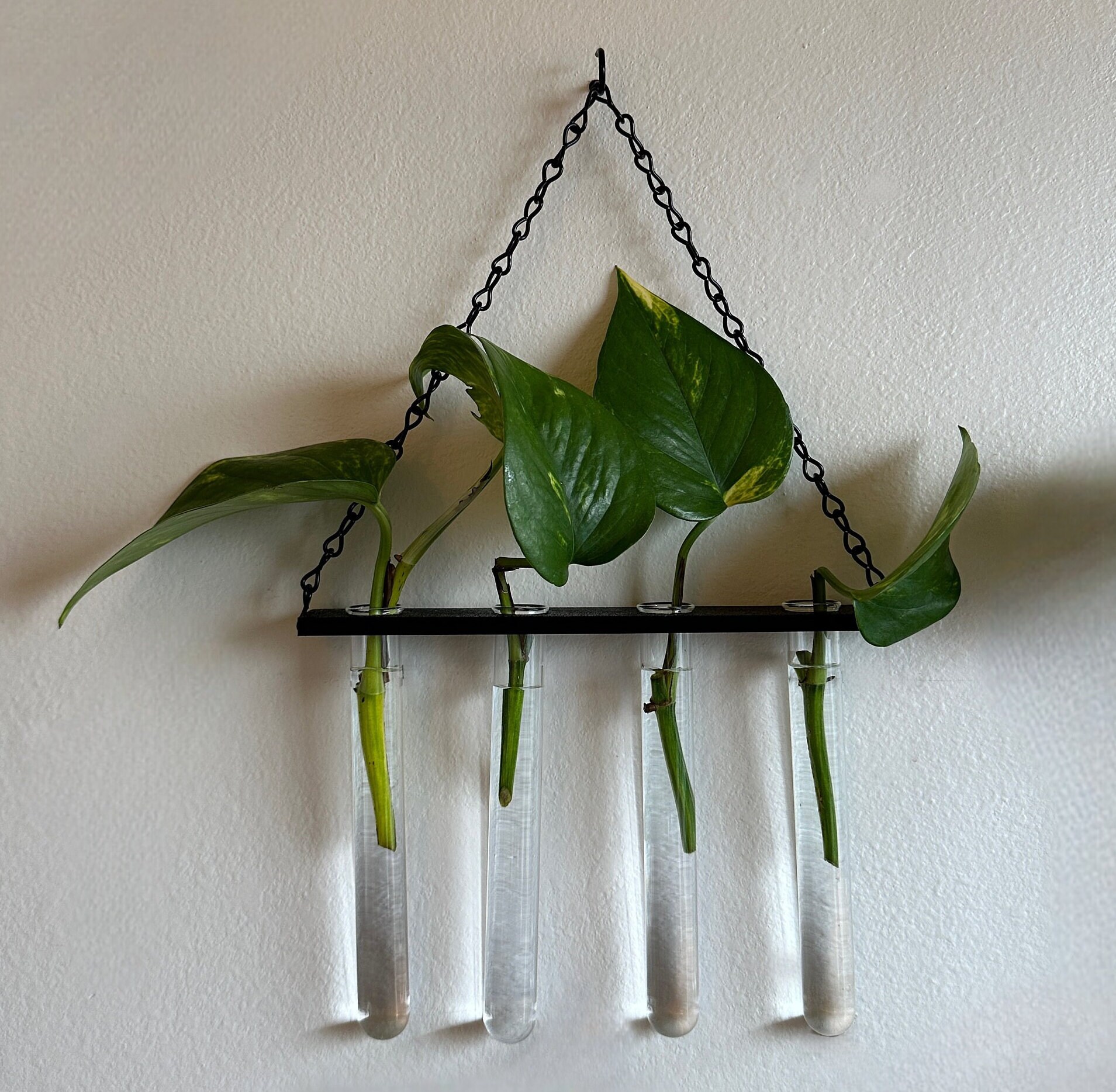 Hanging Plant Propagation Wall Display, Metal Chain Planter, Botany