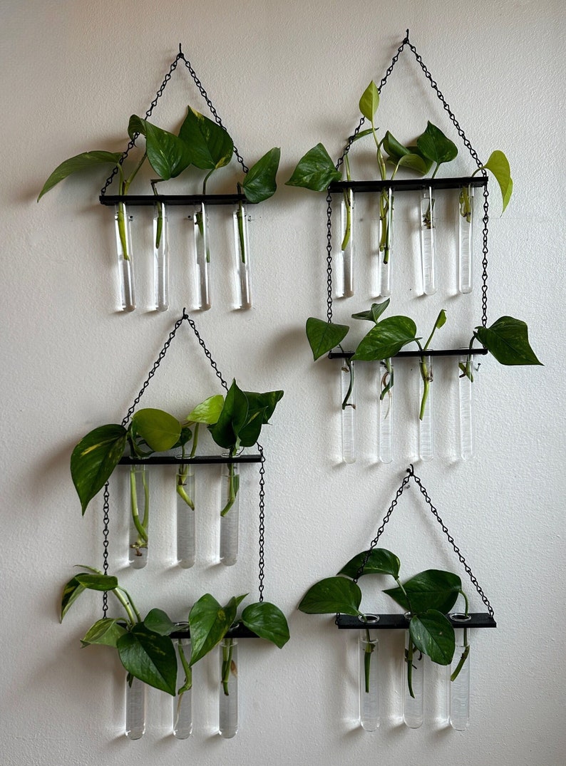 Hanging Plant Propagation Wall Display, Metal Chain Planter, Botany