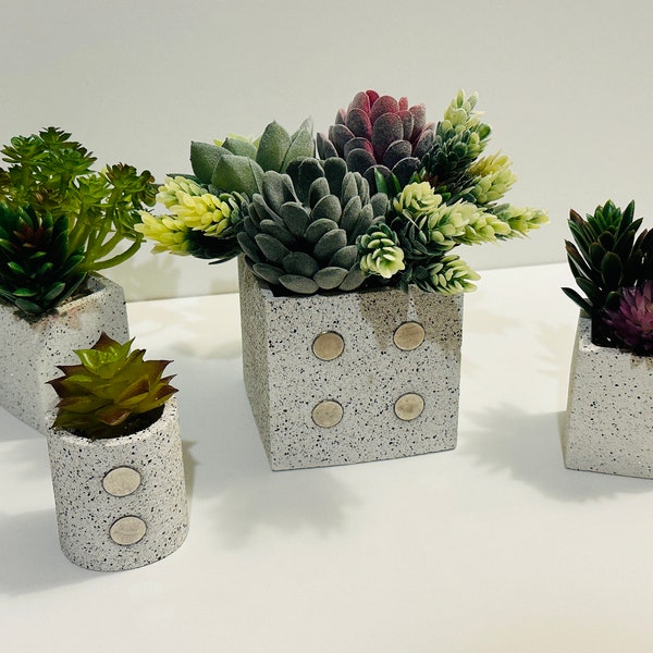 Extremely Strong Magnet Air Plant or Succulent Display for Fridge or Desk, Shower Gift, Succulent, Desk Plant Holder, Desk Air Plant,