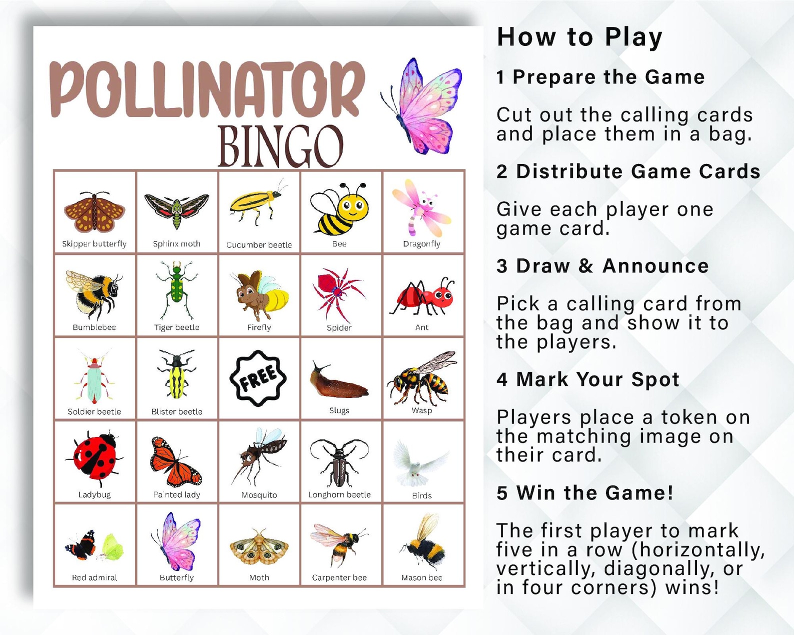 Pollinator Bingo 60 Cards, Nature Bingo Cards, STEM Game for Kids ...