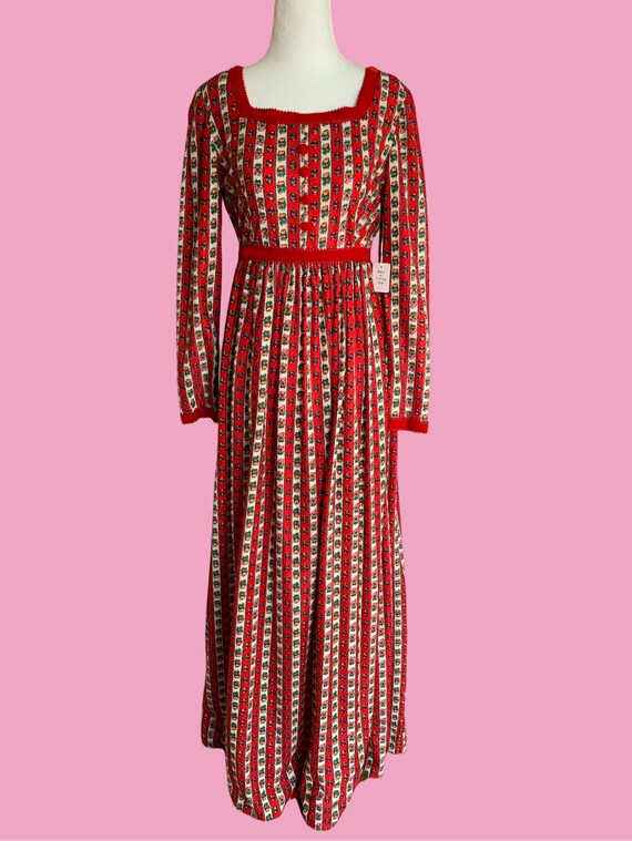 1970s “Cozy by the Fire” Maxi Dress View 2