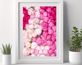 Peonies Photo Wall Art, Paris France Flower Market