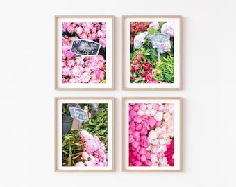 Paris France Peonies Photography Gallery Wall Art