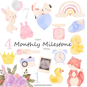Baby Monatliche Meilenstein Clipart, Geburtstag Aquarell Clipart, Monatliches Wachstum, Baby Shower Geschenk, Kinderzimmer Dekor, Tier mit Luftballons png