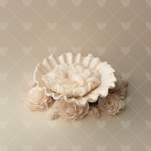 Beige Clam for Newborn Digital Backdrop Background