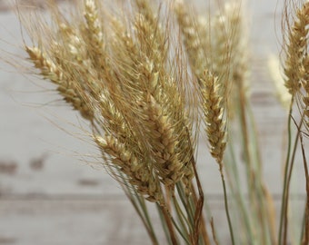 50 sticks of natural wheat， a bunch of dried wheat flower bouquet wedding decoration bouquet of dried flowers rustic country decor