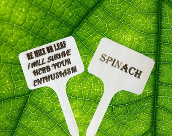 Engraved Bamboo Plant Stakes: Custom Garden Markers, Funny Plant Decor