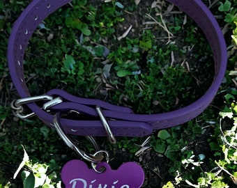 Personalized Leather Pet Collar with Engraved Tag
