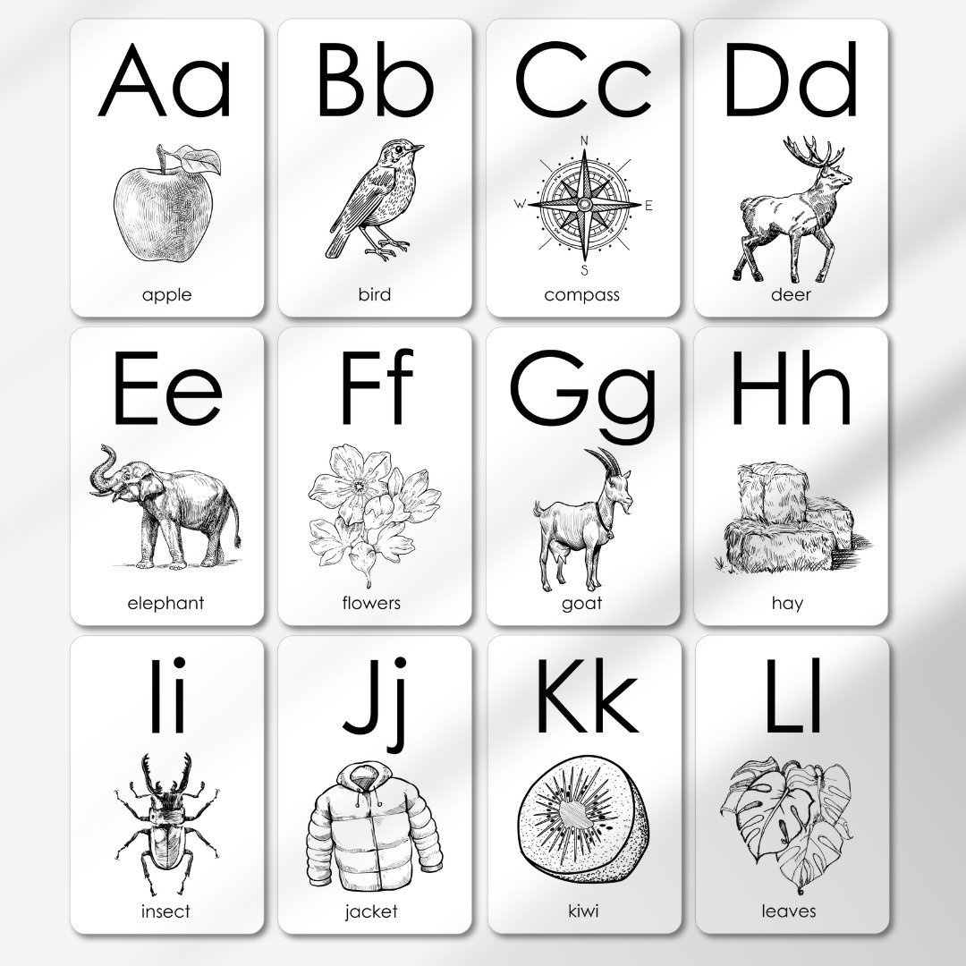 Printable Alphabet Cards, Montessori Cards, Homeschool Resources