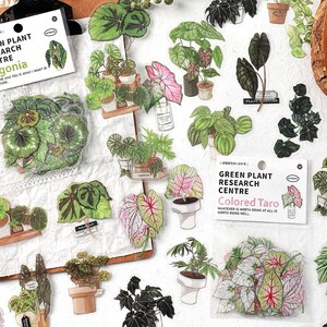 Serie groene plantenstickers - doe-het-zelf plantenstickers Decoratieve stickers Verjaardagscadeau Perfect cadeau (30 pec) (gratis verzending voor aankopen van 4)