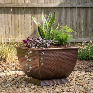 May include: A square, copper-coloured metal planter with a hammered texture and a wide, tapered base. The planter is filled with dark soil and contains a variety of green and purple-striped plants, including a tall snake plant and trailing vines.