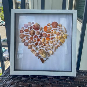 May include: A framed artwork featuring a heart-shaped arrangement of various seashells in shades of brown, orange, and cream. The shells are set against a white background within a white square frame. The artwork is displayed on a dark brown woven surface.