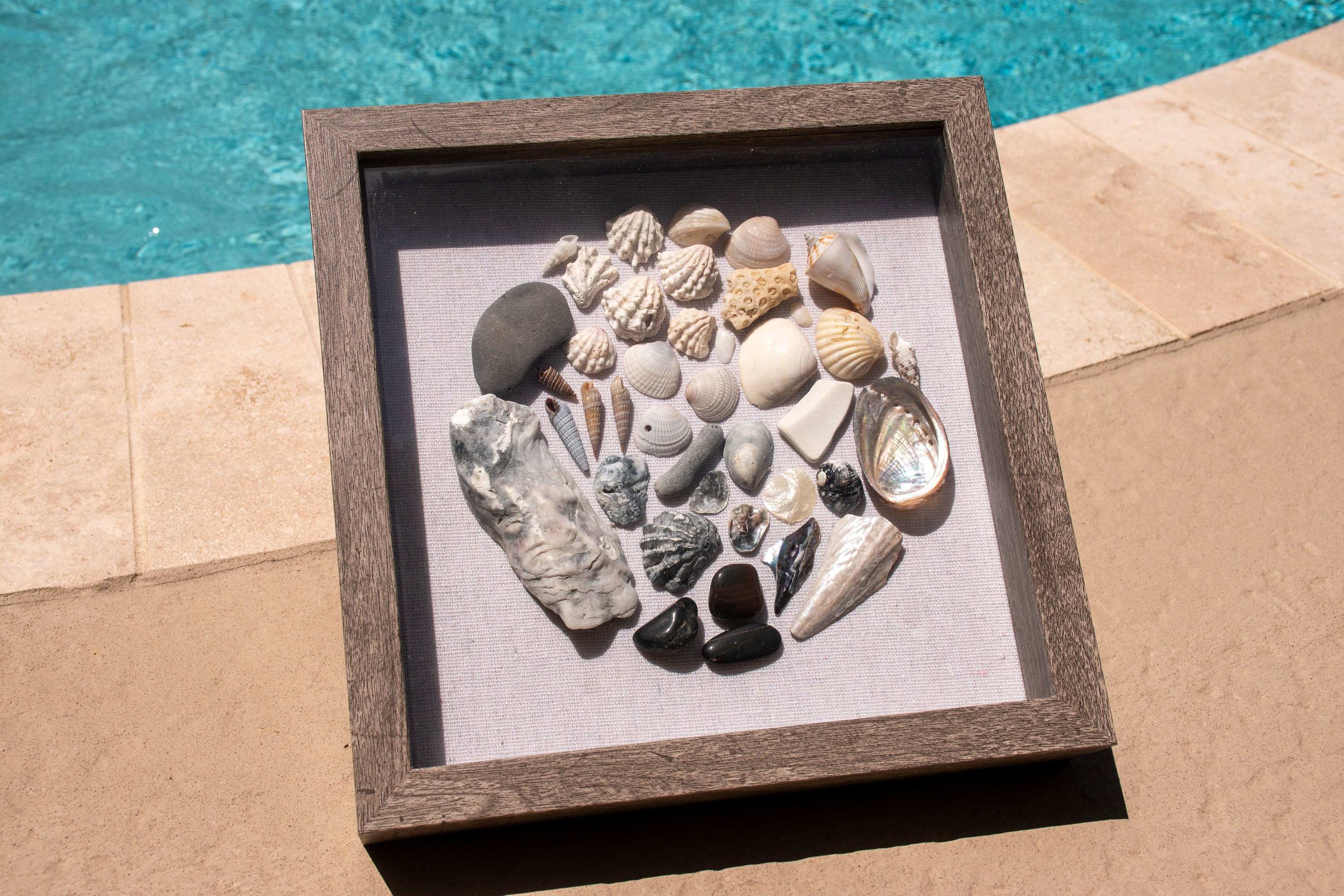 Shell Shadow Box Grey Scheme - Etsy