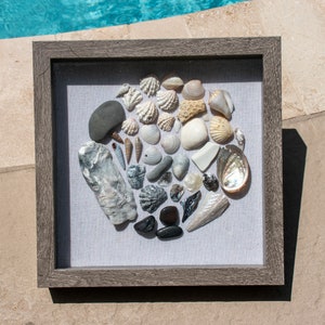 Shell Shadow box Grey Scheme