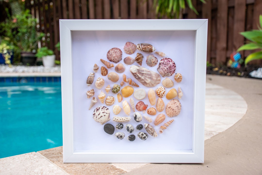 Shell Shadow Box - Etsy