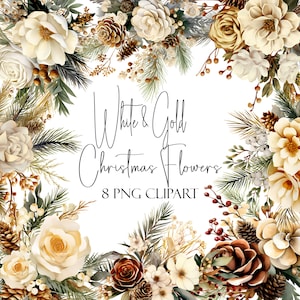 Weiße Weihnachtsblumen, Floral Clipart, PNG-Format, Sofort-Download, kommerzielle Nutzung, POD-Verwendung