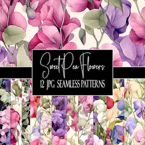 Sweet Pea Floral, Seamless Pattern Flowers, 12 Watercolor JPGs, Instant Download, Commercial Use, POD Use