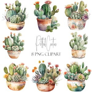 Cactus en pot, clipart aquarelle, éléments succulents, 8 PNG, téléchargement immédiat, usage commercial, utilisation du POD