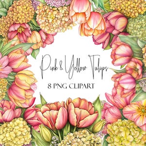 Pink & Yellow Tulip Clipart Bundle: Floral PNG Graphics (Commercial Use, POD)