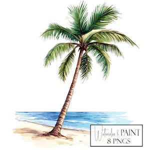 Watercolor Palm Tree Clipart Bundle, 8 PNG, Instant Download, Commercial & POD Use