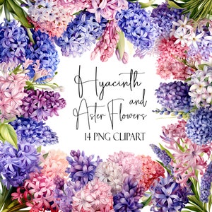 Hyacinth and Aster Flower Clipart, Watercolor Floral, PNG Format, Instant Download, POD Use, Commercial
