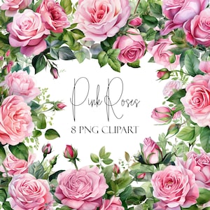 Pink Roses, Watercolor Clipart, Flower Elements, 8 PNGs, Instant Download, Commercial Use, POD Use