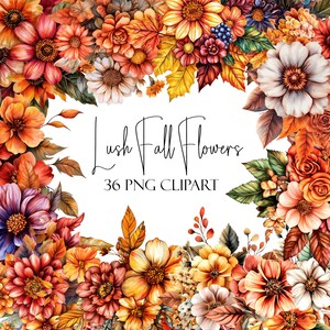 Lush Fall Flowers, Autumn Clipart, 36 PNGs, Instant Download, Commercial Use, POD Use