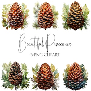 Hermosas piñas, clipart navideño, formato PNG, uso comercial, uso POD, descarga instantánea