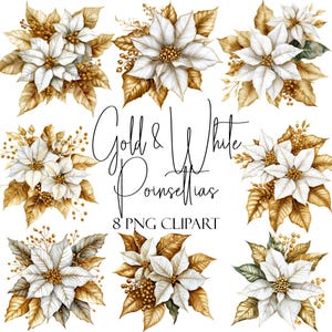 Gold und weißer Weihnachtsstern, Weihnachtscliparts, Blumenelemente, 8 PNGs, sofortiger Download, kommerzielle Nutzung, POD-Nutzung