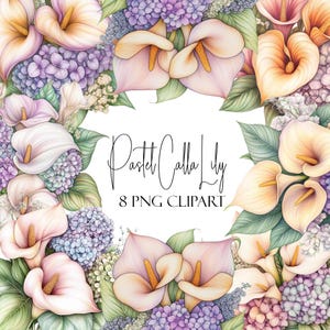 Pacchetto di clipart di calle pastello, 8 fiori PNG trasparenti, download immediato, uso commerciale, uso POD