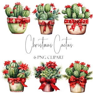Cactus di Natale, Clipart acquerello, formato PNG, download immediato, uso commerciale, uso POD