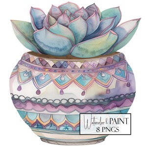 Clipart de cactus bohemio de acuarela, conjunto de PNG transparentes de suculentas, descarga instantánea, uso comercial, uso POD