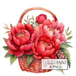 Conjunto de clipart de cesta de peônia em aquarela, 8 PNGs transparentes, download instantâneo, uso comercial, compatível com POD