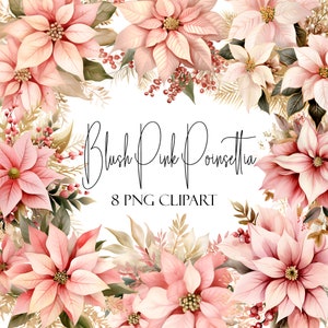 Blush rosa Weihnachtsstern, Blumen Clipart, PNG-Format, sofortiger Download, kommerzielle Nutzung, POD-Verwendung