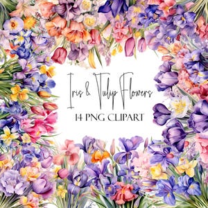 Iris and Tulip Clipart, Watercolor Flowers, Floral PNGs, Instant Download, Commercial Use, POD Use